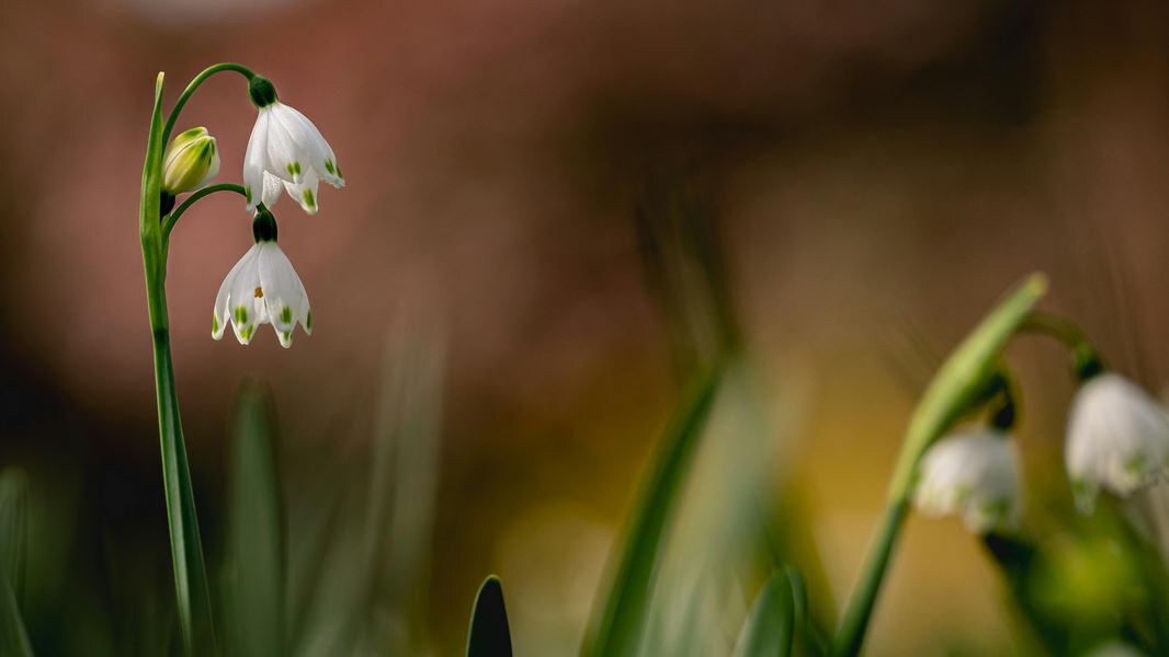 Ваш организм работал на адреналине сутками, а теперь резко сбросил газ. Эта яма — не депрессия, а физиология. Дайте телу время перезагрузить системы.