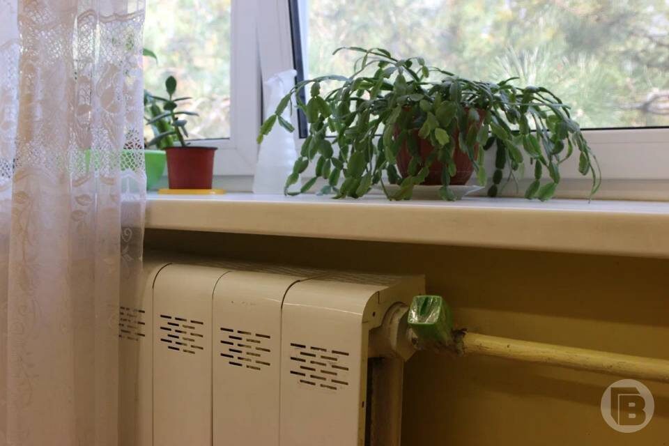    Фото: "Городские вести"