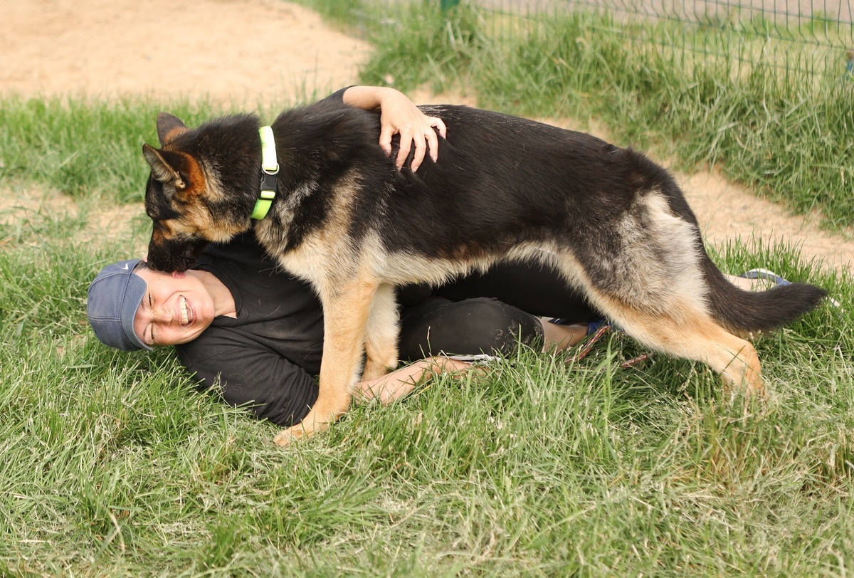 Да тебя сбить, раз плюнуть!