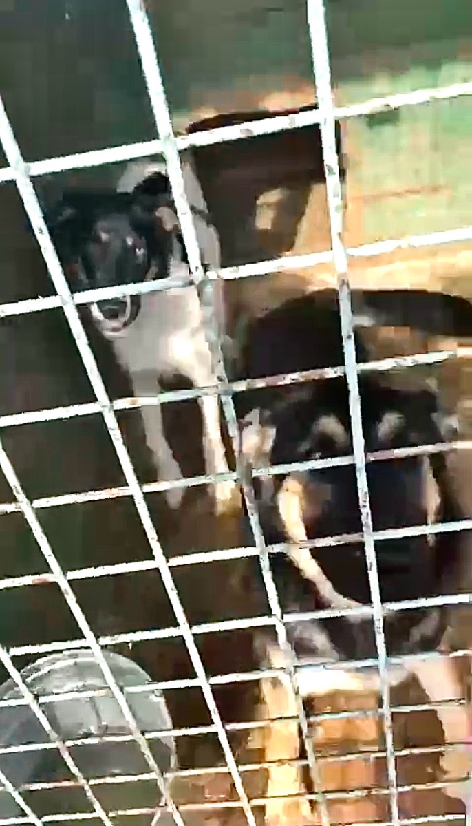 У тебя секунда! На него не смотри, на меня смотри!