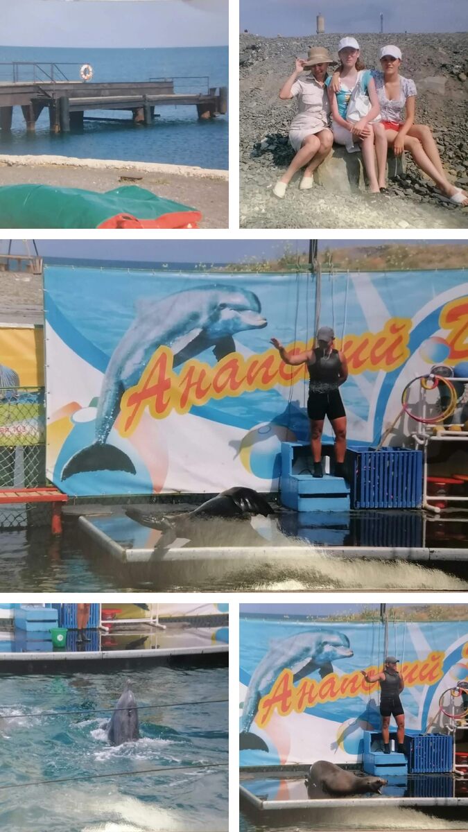 Дельфинарий города Анапы. 