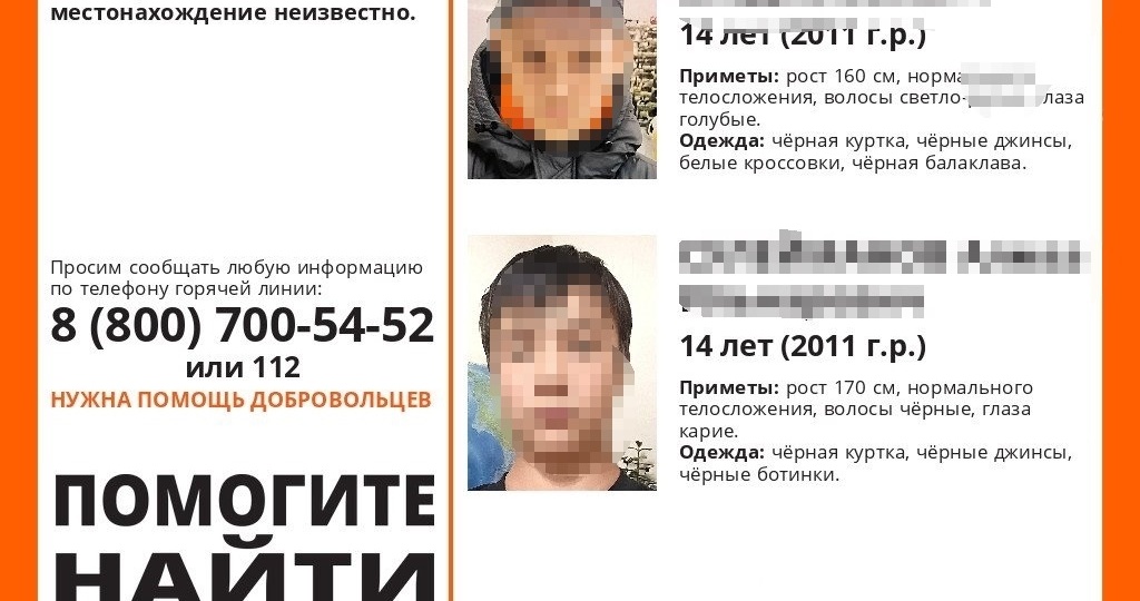 В Ульяновской области возобновили поиски пропавших 14-летних мальчиков