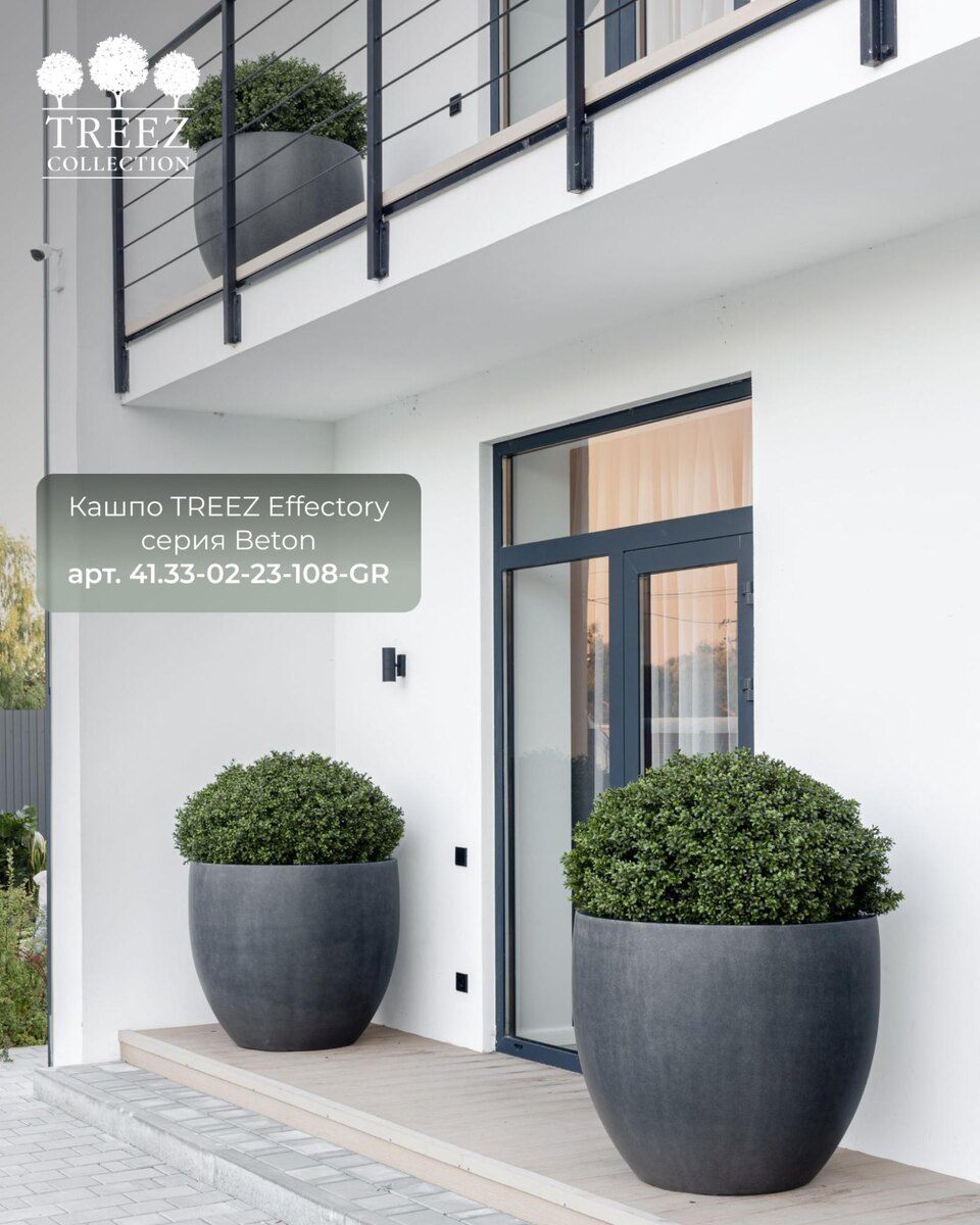 Кашпо и растения Treez Collection