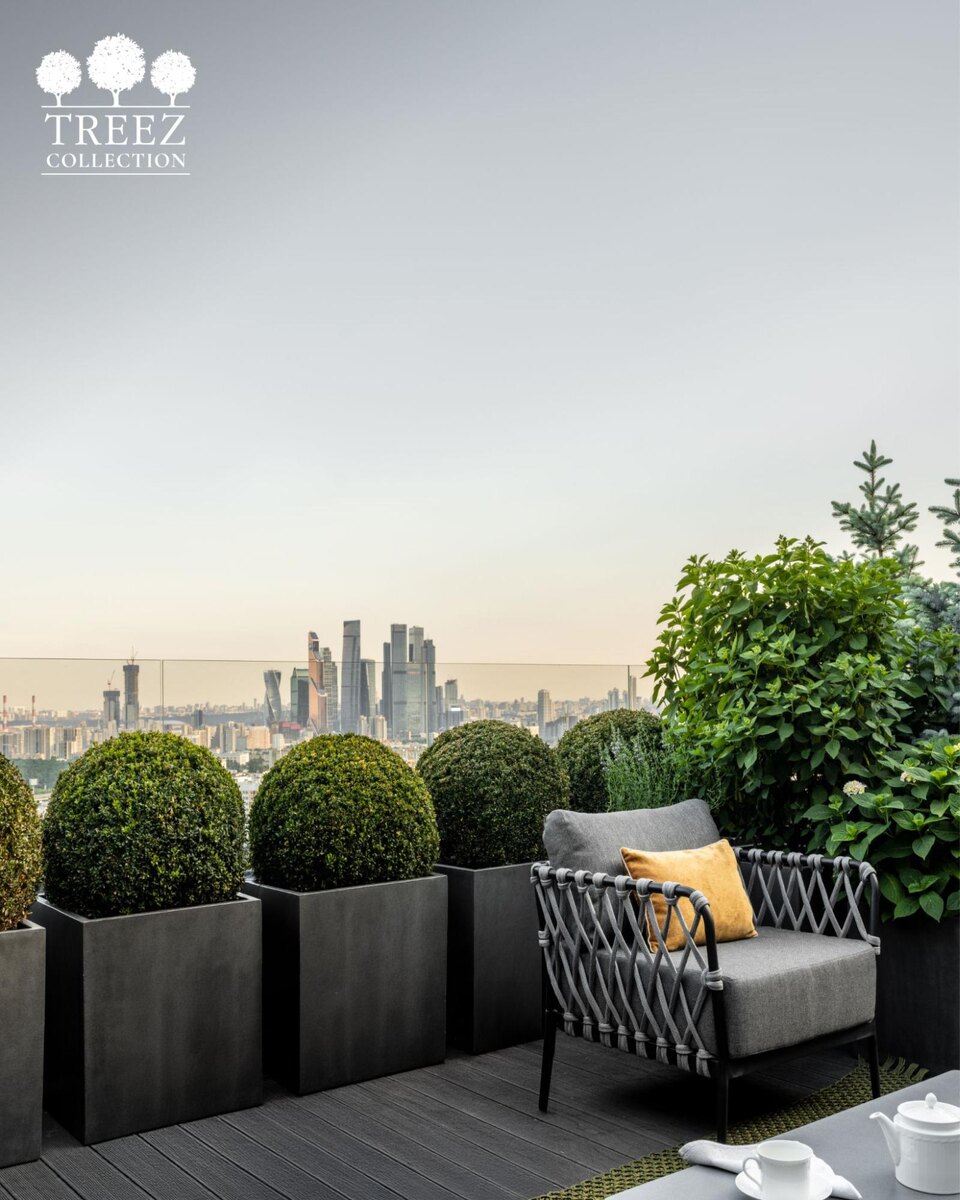 Кашпо и растения Treez Collection