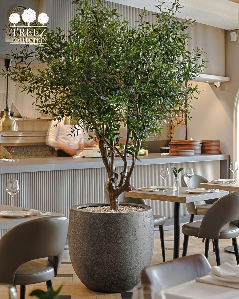 Кашпо и растения Treez Collection
