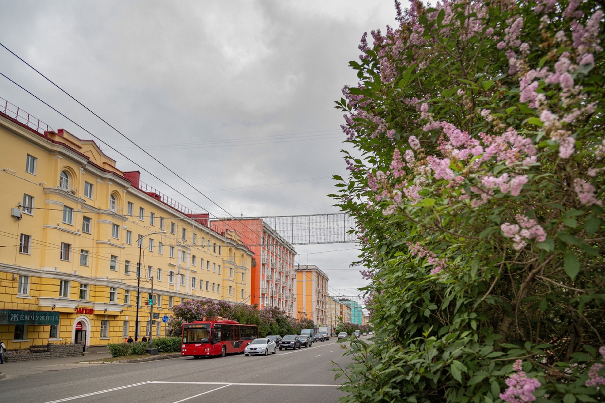 Фото: Екатерина Громова