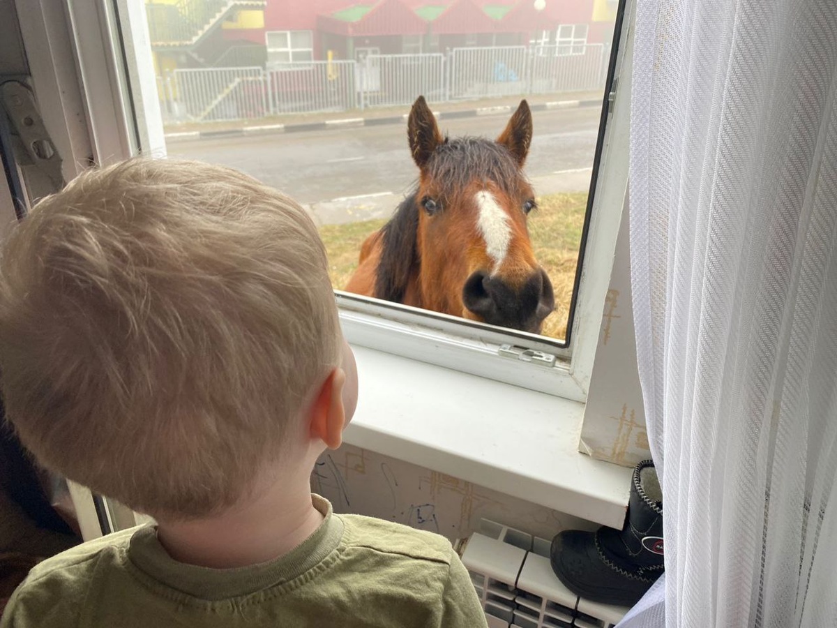 — А ты пользуешься максом? Я что-то в нем ни в зуб ногой... 