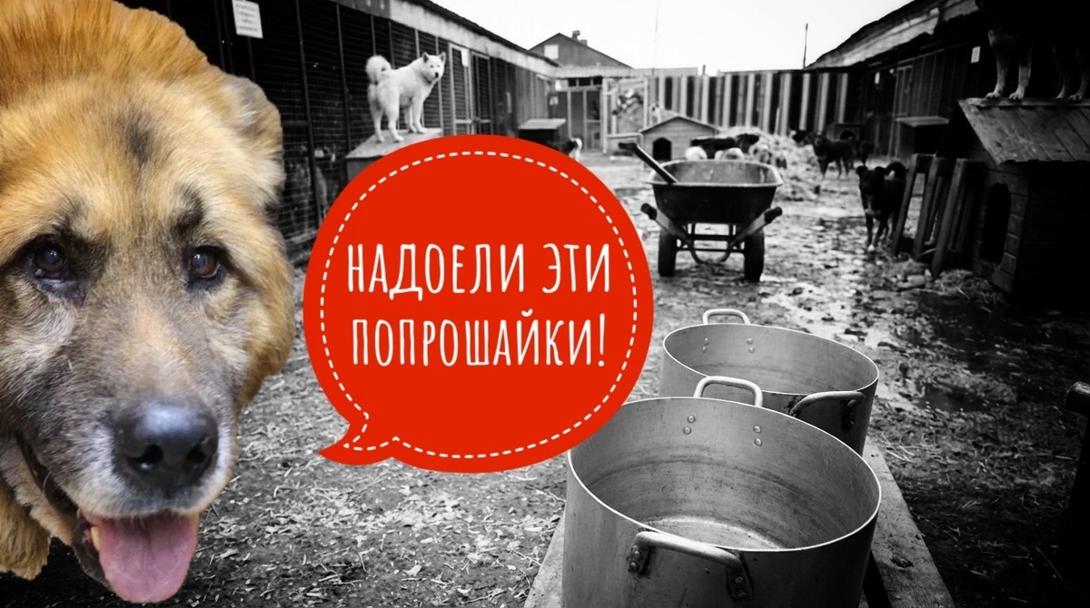 500 инвалидов, мы сделали все возможное, но, кормить нам их НЕЧЕМ!