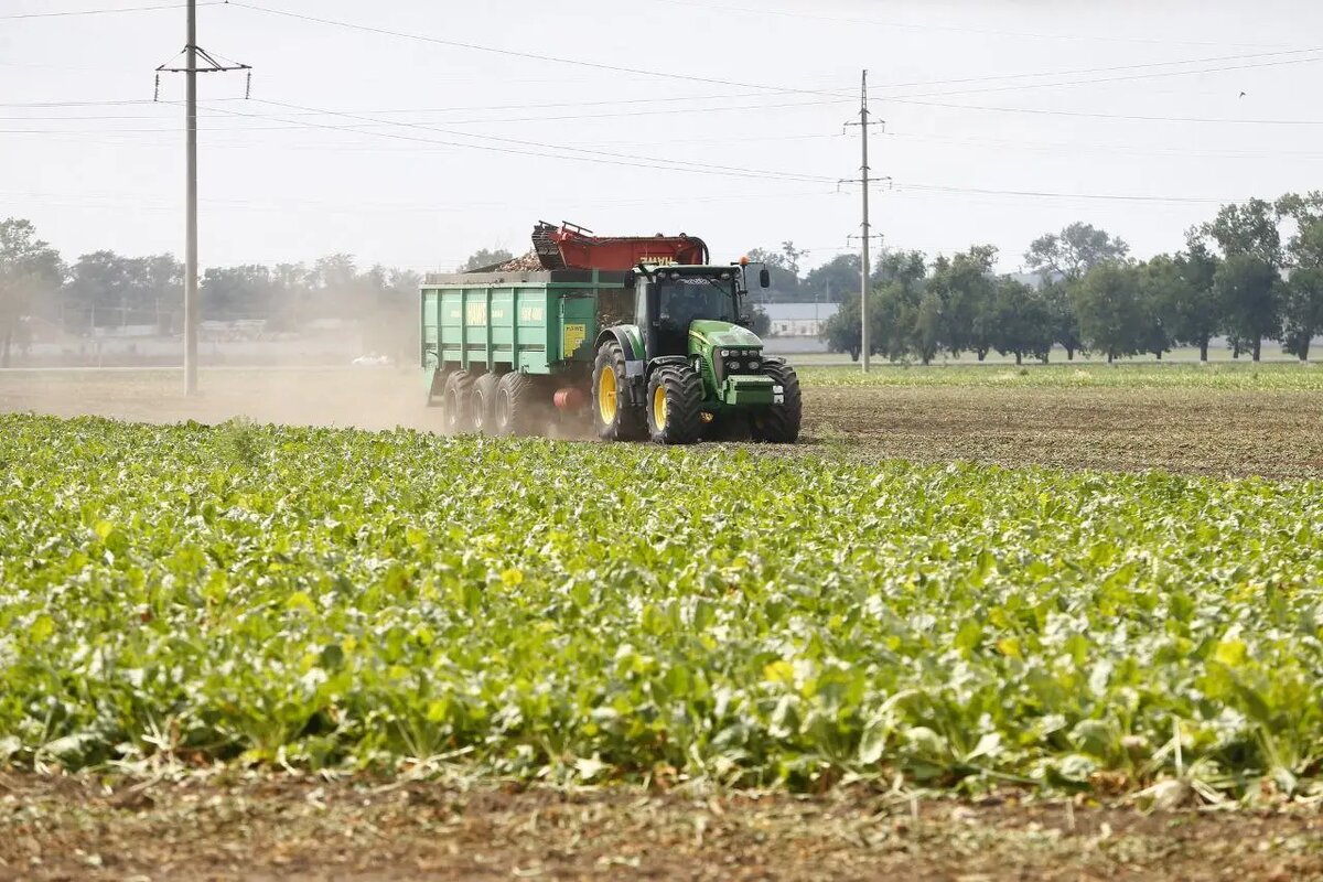     © Пресс-служба администрации Краснодарского края. Геннадий Аносов