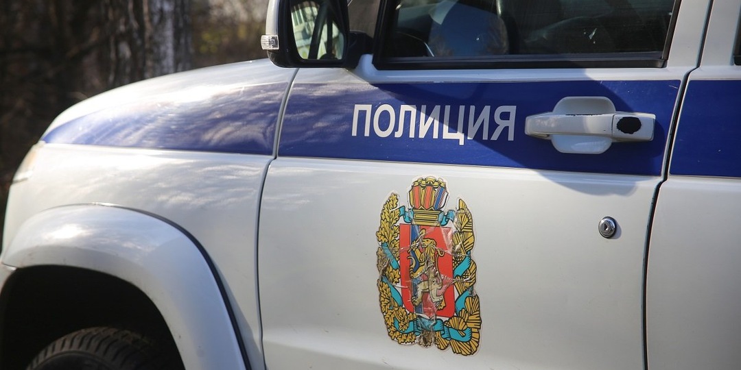 Жительница Красноярска хотела купить щенка, но нарвалась на мошенников