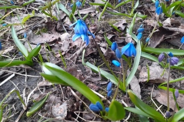    Фото: АиФ/ Татьяна Черных