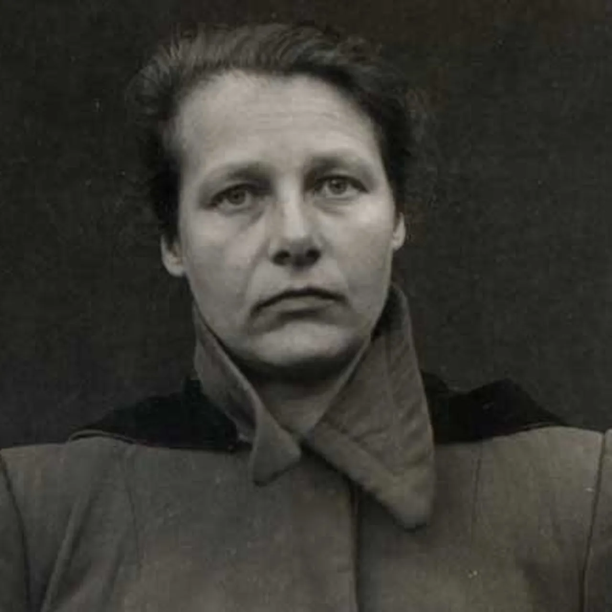 Фото из свободных источников.