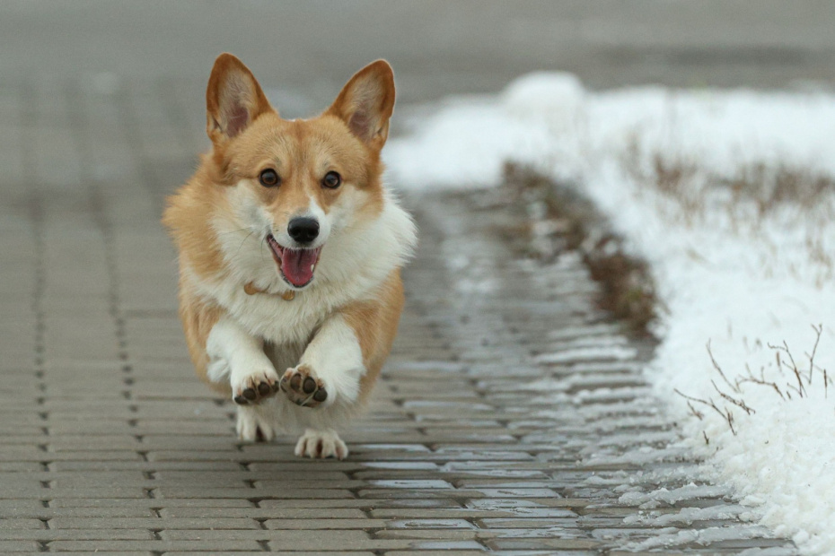    Сергей Булкин/NEWS.ru
