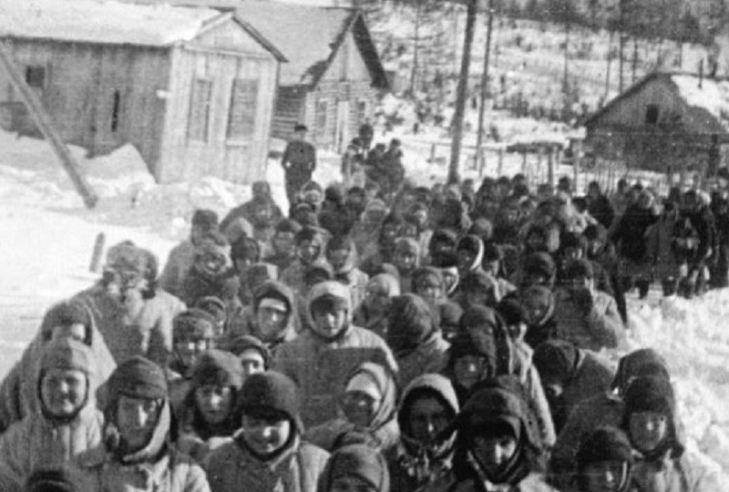 Сколько человек прошло через ГУЛАГ 1930–1953: статистика по годам, пики, смертность по отчётам ГУЛАГа и НКВД