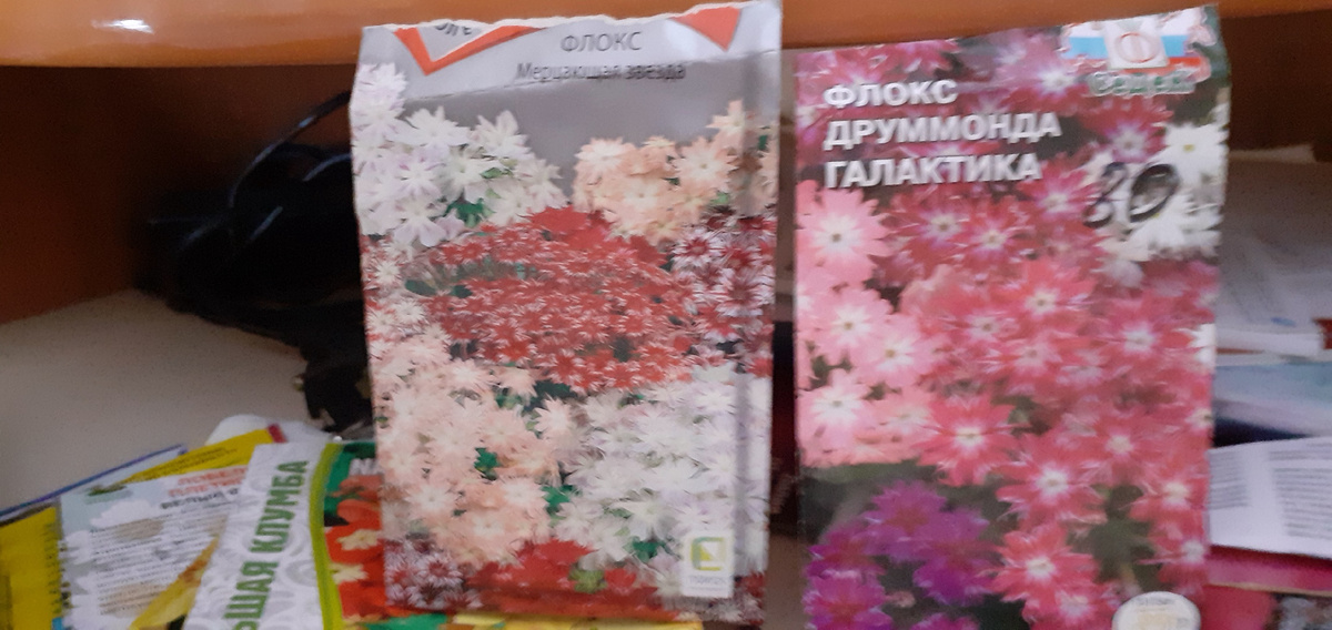 СОРТА С ИЗЯЩНЫМИ КРАЯМИ ЦВЕТКОВ.