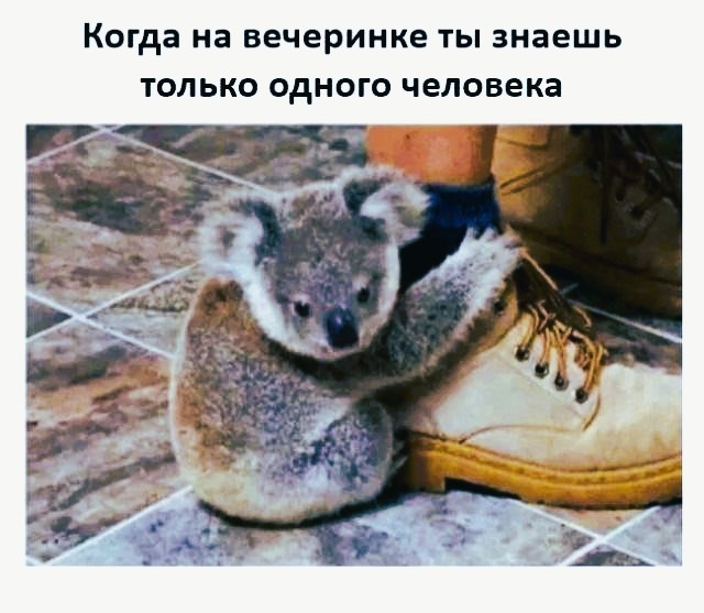 Источник для фото найден на просторах Интернета в открытом доступе yandex.ru