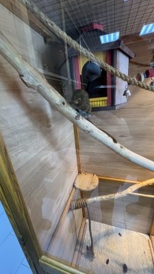 Фото: Россельхознадзор по Орловской и Курской областям  📷
