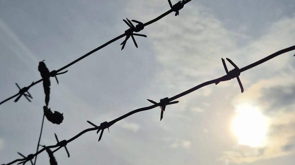    Фото: телеканал «Краснодар»