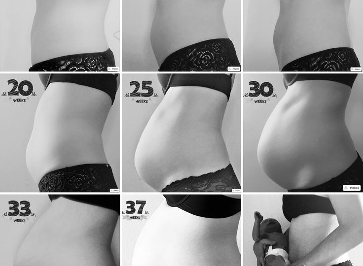 «Прибавка в весе и рост живота во втором и третьем триместре»