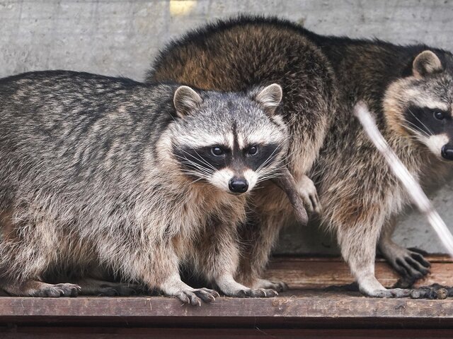    Фото: РИА Новости/Александр Вильф