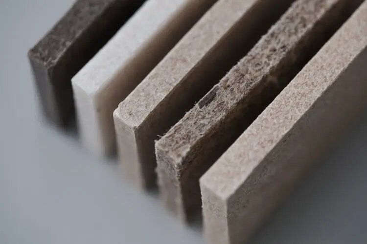    Источник: scientificrussia.ru Варвара Орлова