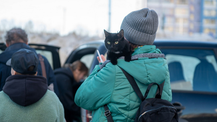    Фото правительства Кировской области