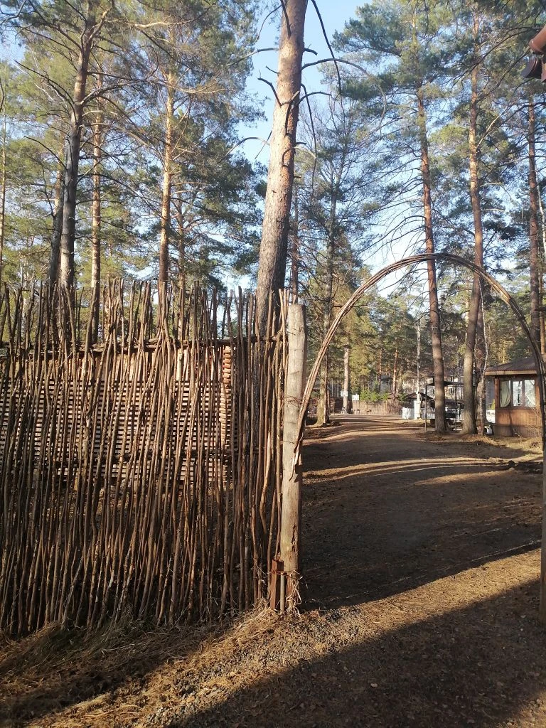 фото автора,