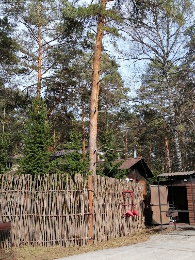 фото автора,