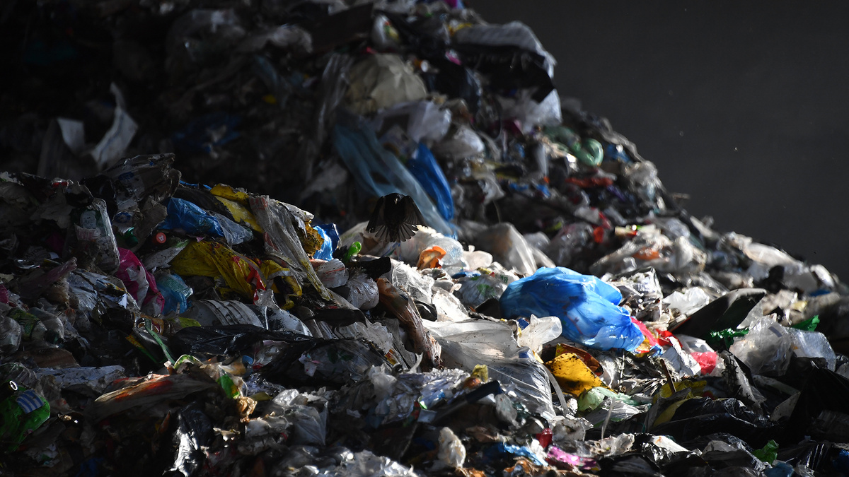    мусор пластик экология свалка ГЛ