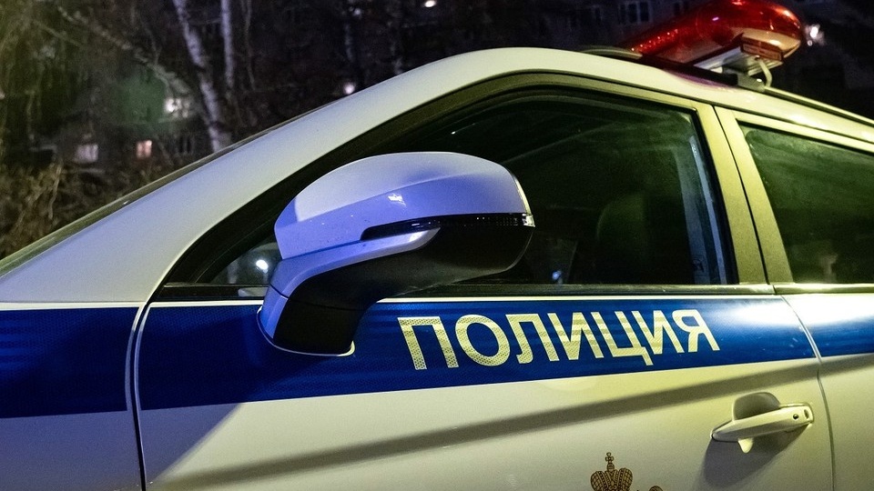 Жительницу Тувы отправили на шесть лет в колонию после убийства отчима