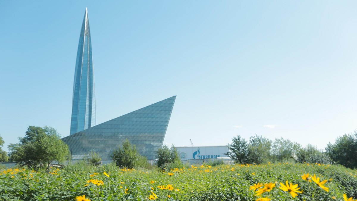    Фото: ИЗВЕСТИЯ/Телеканал «78»