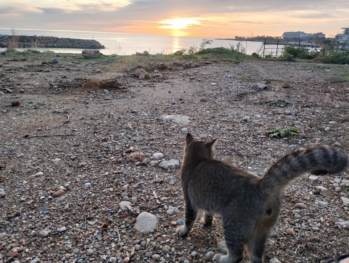 На этом фото все на виду, все анатомично, и в то же время, символично ...