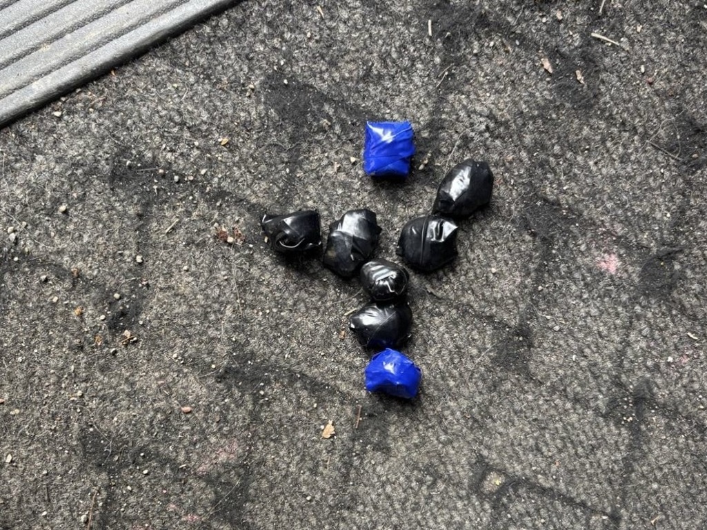 Фото: Западное ЛУ МВД РФ на транспорте Алексей Луньков  📷
