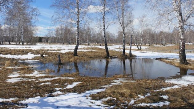 Завтра первые районы Подмосковья попрощаются со снегом
