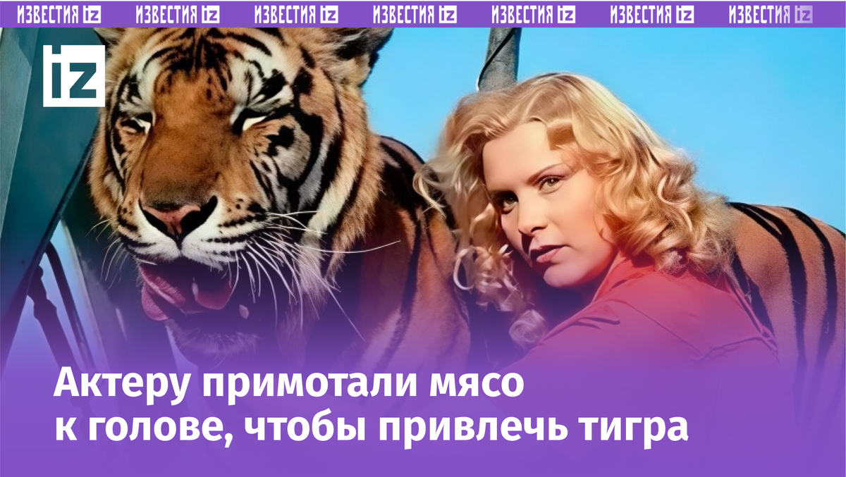 Фото с сайта Пятого канала