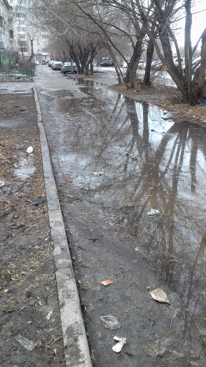 город Красноярск, 24 марта 2026 г.