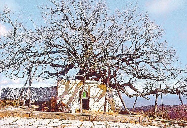 Гробница Абд ас-Саляма ибн Машиша / Источник: gzt.com