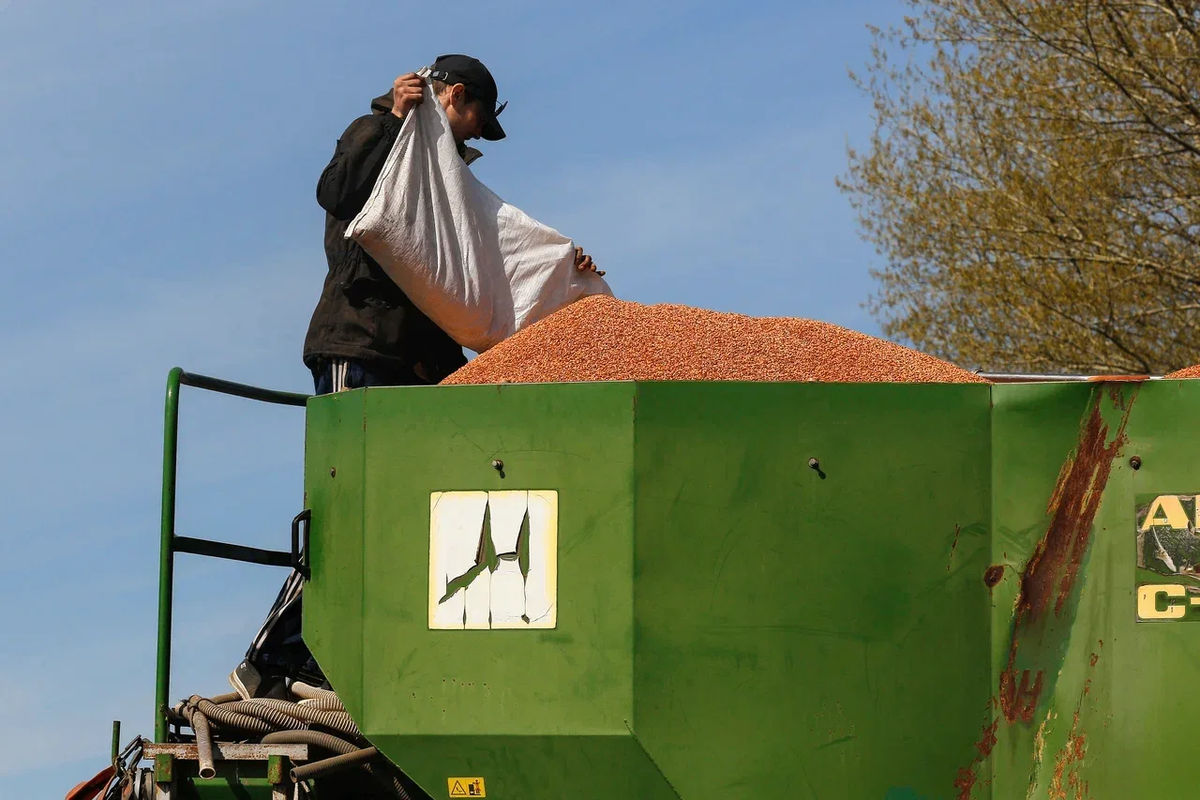 Источник: Поле.РФ