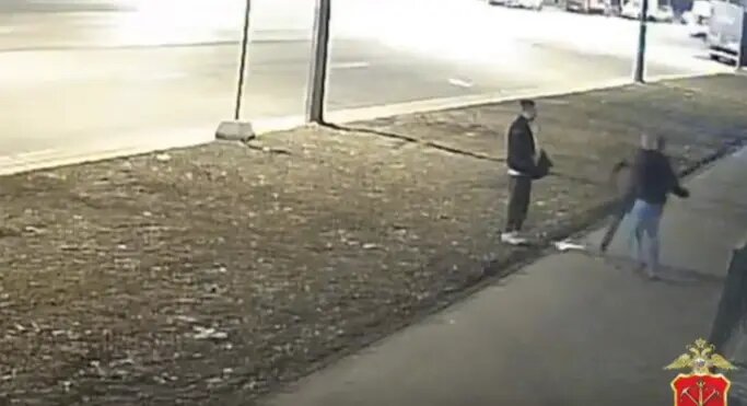    Фото: скриншот видео пресс-службы ГУ МВД РФ по Петербургу и Ленобласти