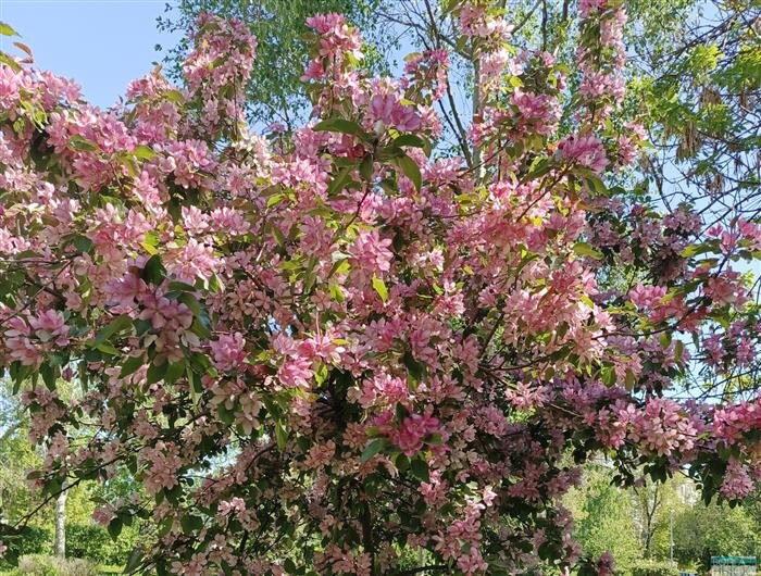    ФОТО: Ламзина Александра