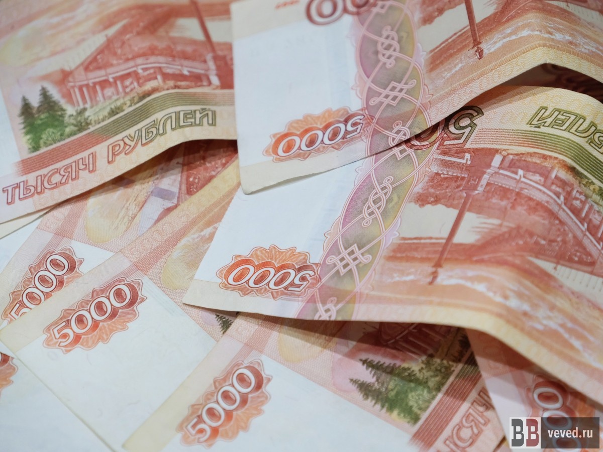     Фото: Владислав Постников / Вечерние Ведомости