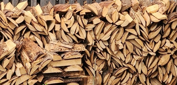    фото: @ ПОЛИЦИЯ ПРИОНЕЖСКОГО РАЙОНА/ ВК