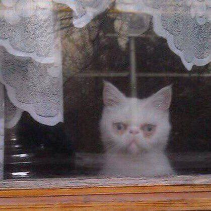 С просторов сети интернет.