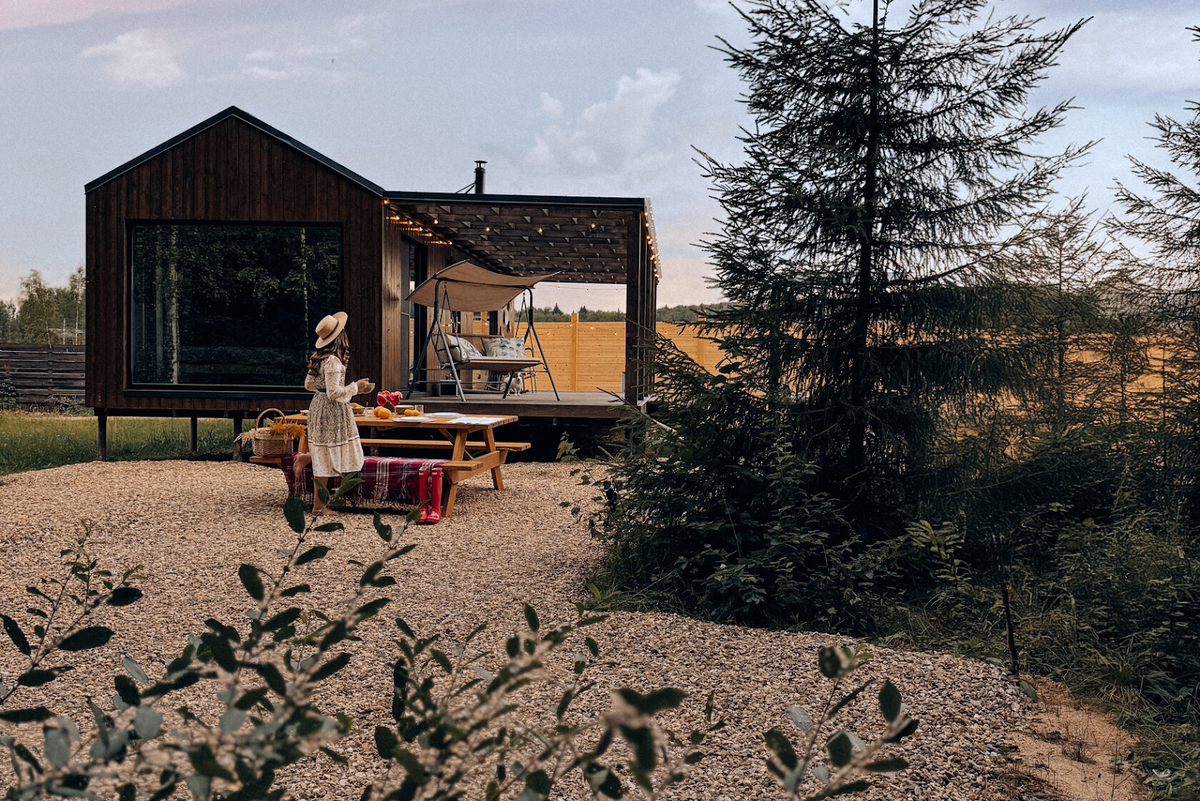  «Время в лесу»