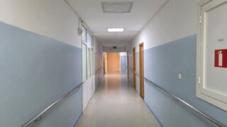    Элина Болдырева Юлия Виноградова