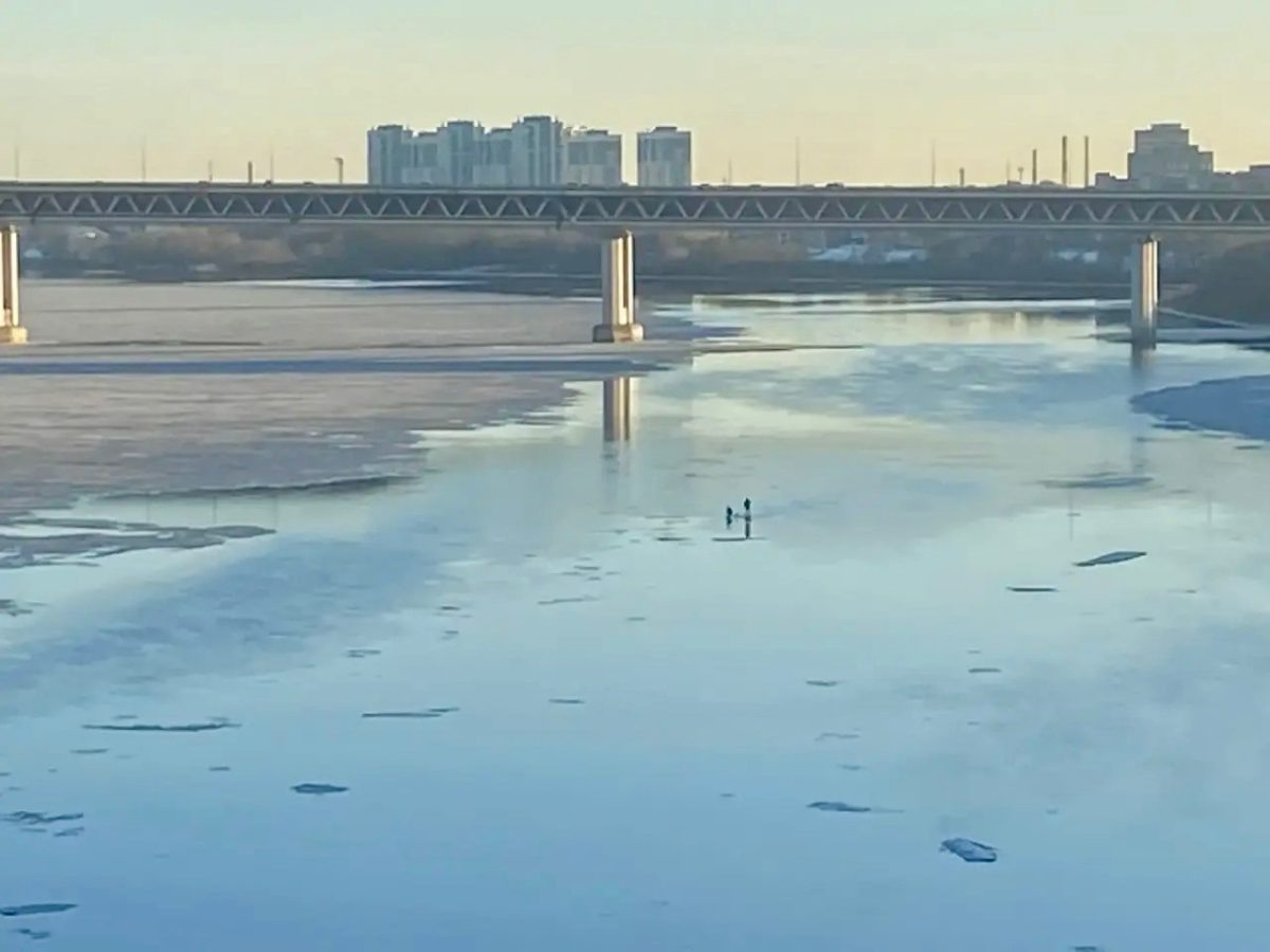    Очевидец заметил двух человек по середине реки Оки, которые как будто находились на тонком льду