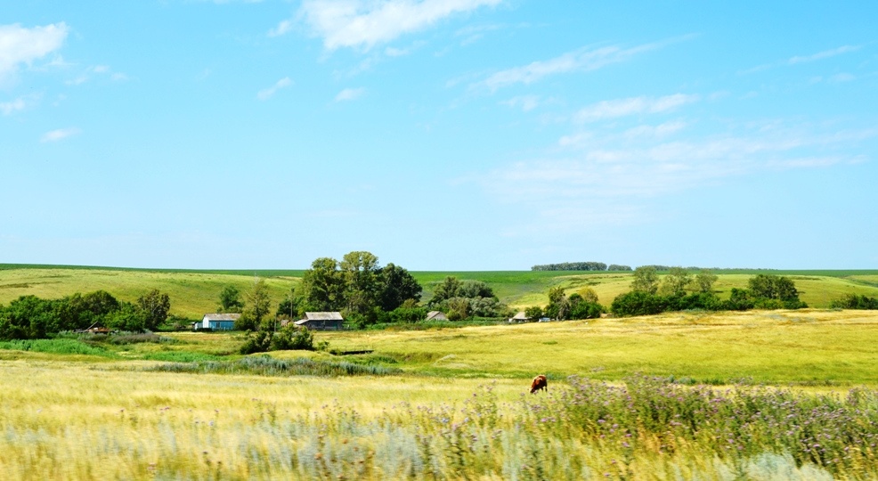 Мумия с крашеными ногтями