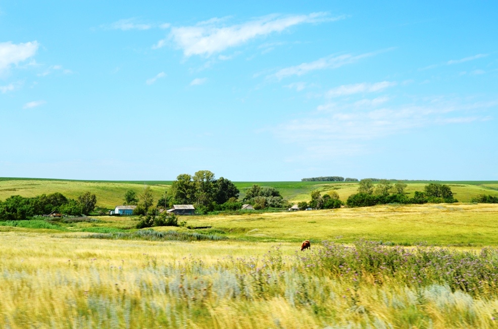 Вид на поселок Бугры. Фото автора