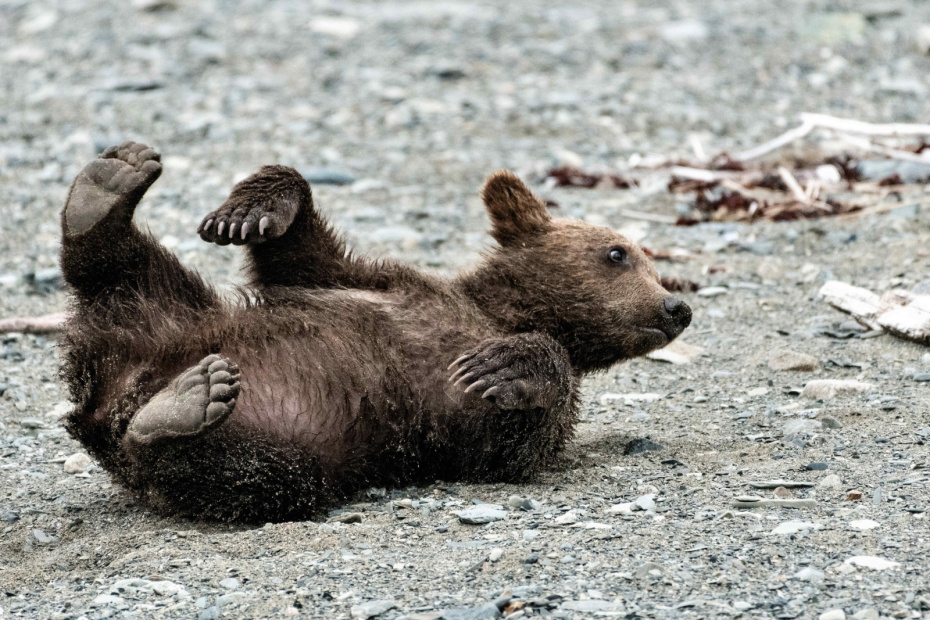    Richard Ellis/ZUMAPRESS/Global Look Press