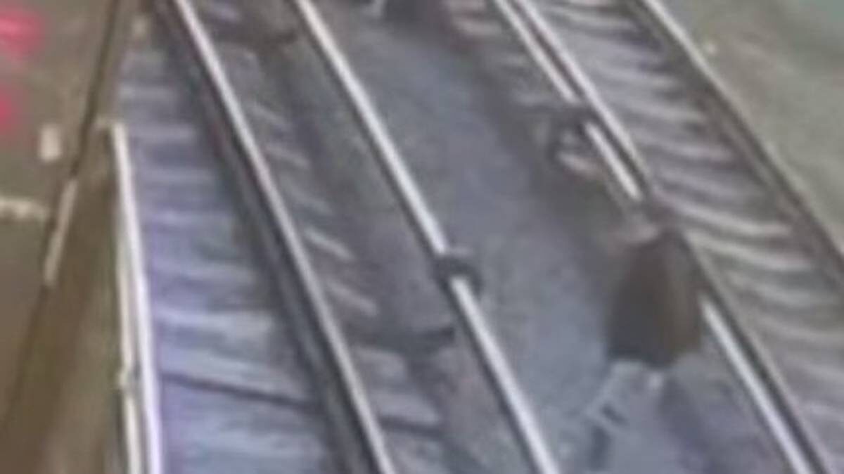    Фото: скриншот видео / Прокуратура Москвы / Telegram